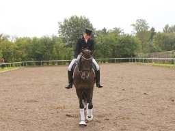 img_9669_web